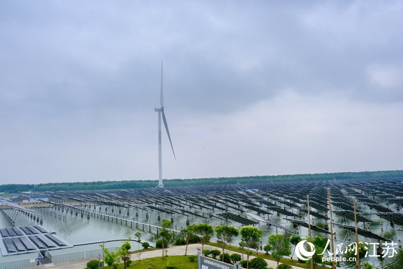 鹽城東臺市“風(fēng)光漁”互補(bǔ)產(chǎn)業(yè)基地。 人民網(wǎng) 常雨薇攝