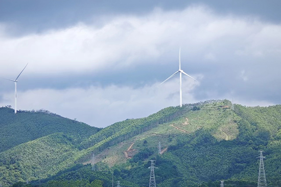 110千伏淳霞赤線為南寧橫縣那莫風(fēng)電場(chǎng)綠電輸送搭建“高速路”。羅文旗 攝