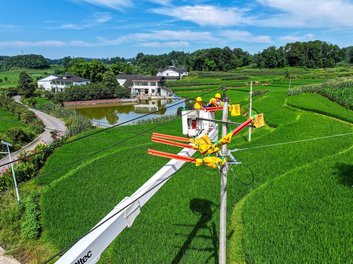重慶川東電力公司員工在10千伏藺堡線25號(hào)桿開(kāi)展帶電搭接引流線作業(yè)。游波攝