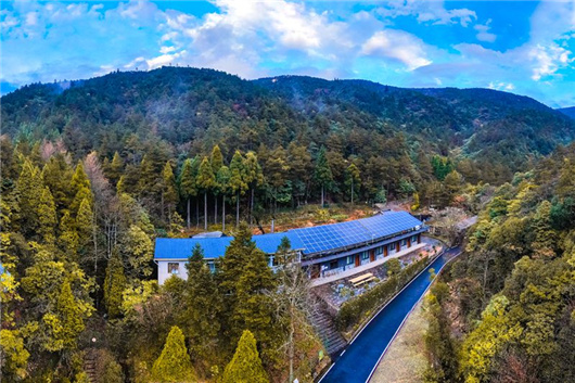 綠色發(fā)展促進生物多樣性保護