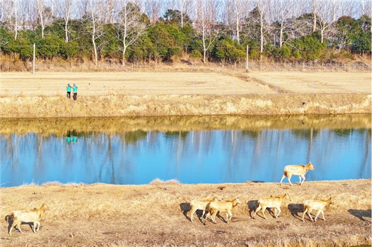 綠色發(fā)展促進生物多樣性保護