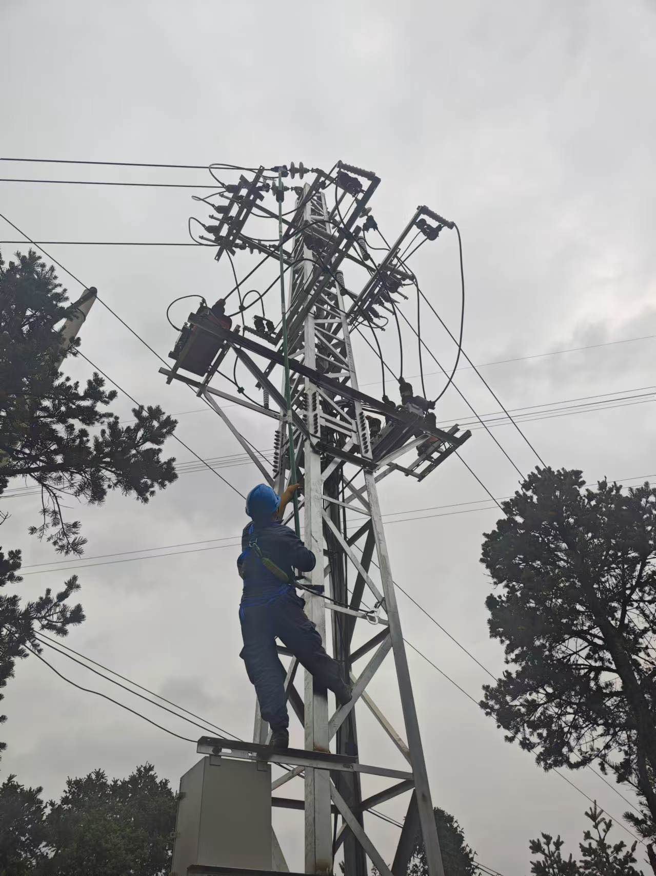 10kV三道線線路遷改作業(yè)1.jpg