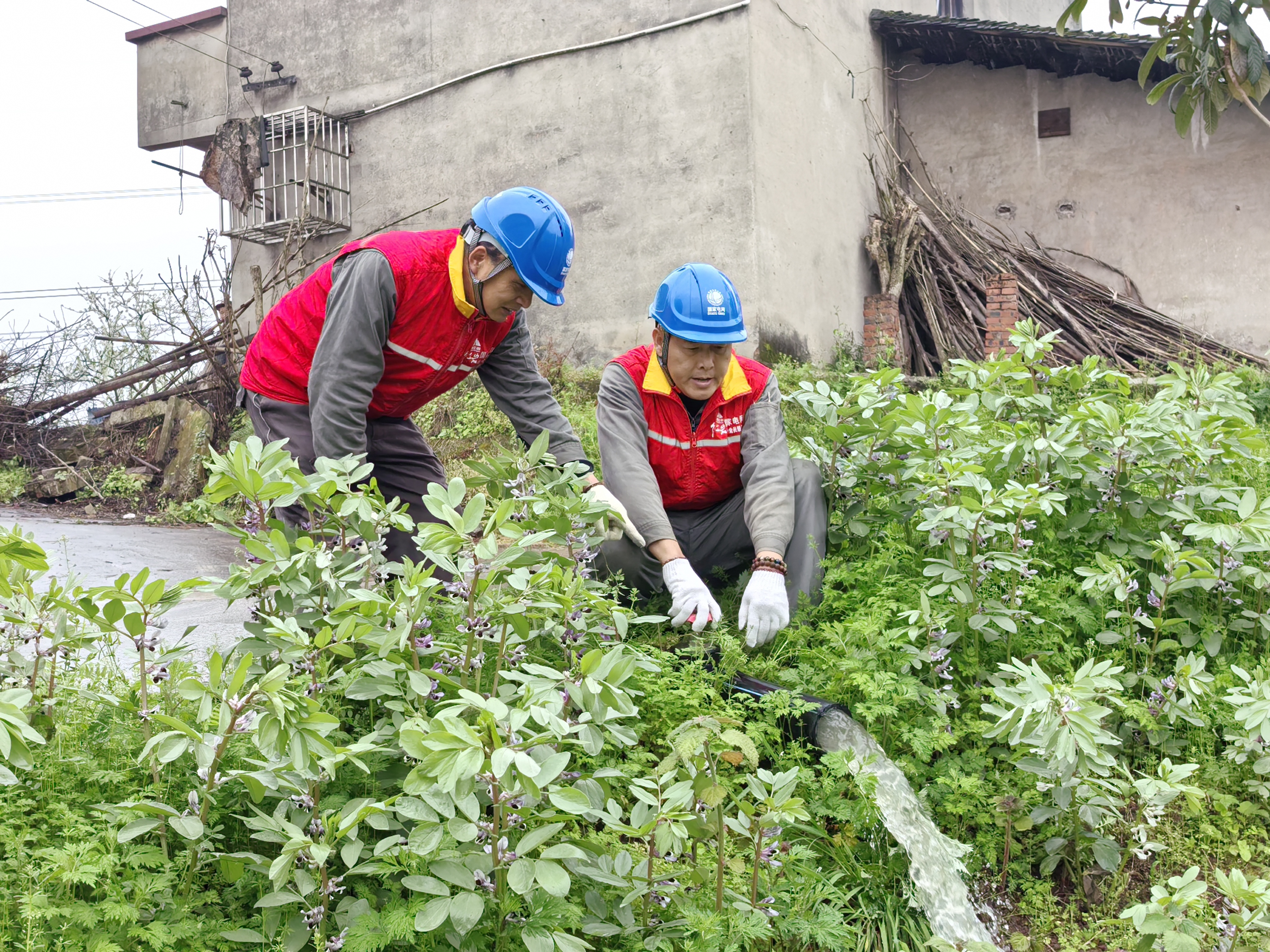 歇馬供電所張子琪，工作人員萬成福、成肇華在東風村白土壩組檢查抽水灌溉設備2.jpg